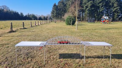 hier klicken, dann wird das Bild groß dargestellt x110_12.jpg